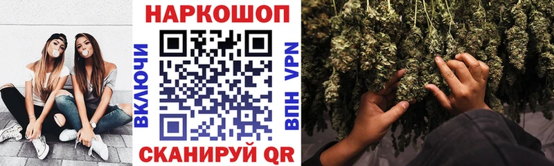 Купить наркотики цена Гурьевск Псилоцибиновые грибы  Кокаин  СОЛЬ  Меф  Каннабис 