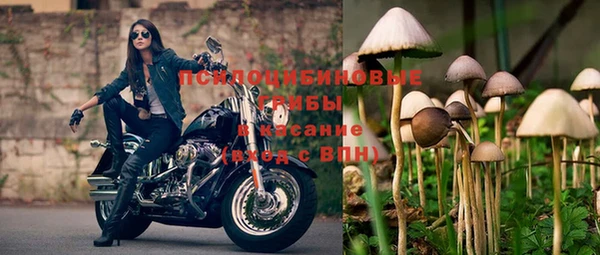 прущие крисы Алексеевка
