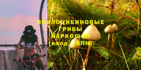 ешки Алзамай
