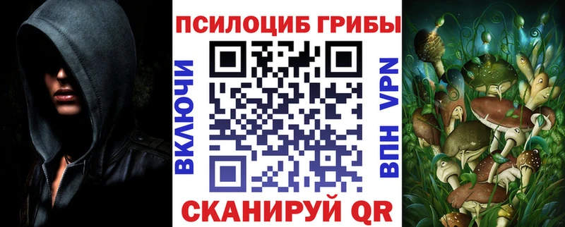 Псилоцибиновые грибы мицелий  блэк спрут сайт  Гурьевск 